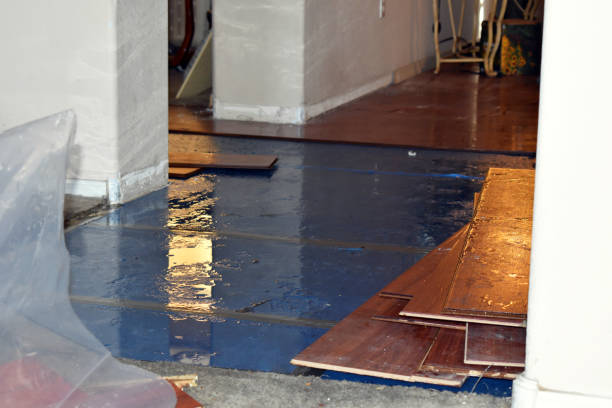 Professional Burst Pipe Cleanup technician working in Dover, NJ